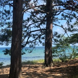 Meet your Posher, Lona